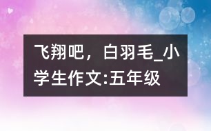 飛翔吧，白羽毛_小學(xué)生作文:五年級