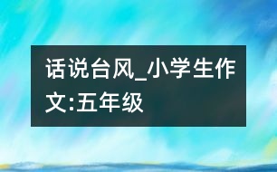 話說臺(tái)風(fēng)_小學(xué)生作文:五年級