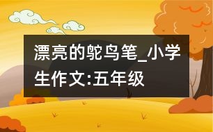 漂亮的鴕鳥(niǎo)筆_小學(xué)生作文:五年級(jí)