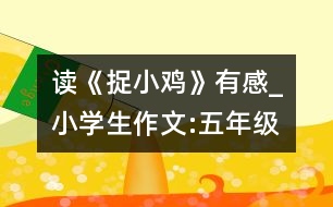 讀《捉小雞》有感_小學生作文:五年級