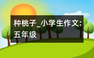 種桃子_小學生作文:五年級