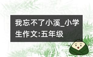 我忘不了,小溪_小學(xué)生作文:五年級(jí)
