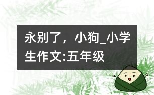 永別了，小狗_小學(xué)生作文:五年級(jí)