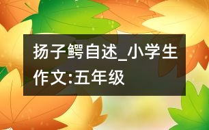 揚子鱷自述_小學生作文:五年級