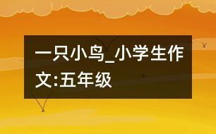 一只小鳥_小學生作文:五年級