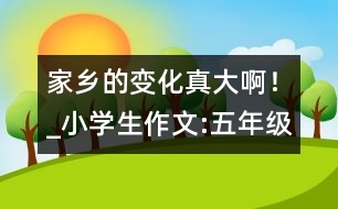 家鄉(xiāng)的變化真大??！_小學生作文:五年級