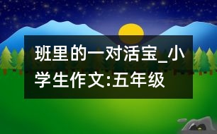 班里的一對(duì)“活寶”_小學(xué)生作文:五年級(jí)