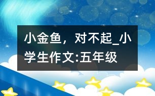 小金魚(yú)，對(duì)不起_小學(xué)生作文:五年級(jí)