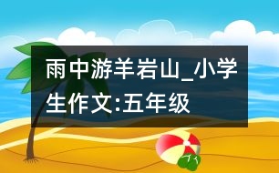 雨中游羊巖山_小學(xué)生作文:五年級
