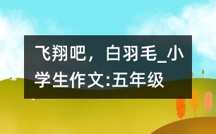 飛翔吧，白羽毛_小學生作文:五年級
