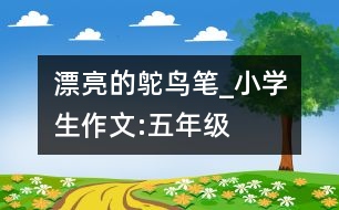 漂亮的鴕鳥筆_小學(xué)生作文:五年級(jí)