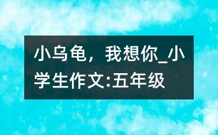 小烏龜，我想你_小學生作文:五年級