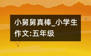 小舅舅真棒_小學(xué)生作文:五年級(jí)