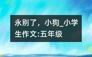 永別了，小狗_小學生作文:五年級