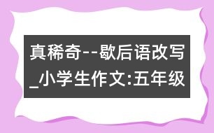 真稀奇--歇后語(yǔ)改寫_小學(xué)生作文:五年級(jí)