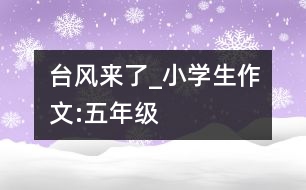 臺(tái)風(fēng)來了_小學(xué)生作文:五年級