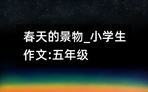 春天的景物_小學(xué)生作文:五年級(jí)