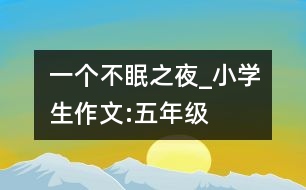 一個不眠之夜_小學生作文:五年級