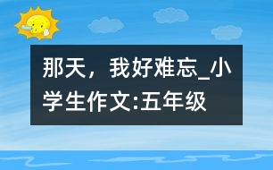 那天，我好難忘_小學(xué)生作文:五年級(jí)