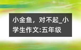 小金魚，對(duì)不起_小學(xué)生作文:五年級(jí)