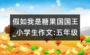 假如我是糖果國(guó)國(guó)王_小學(xué)生作文:五年級(jí)