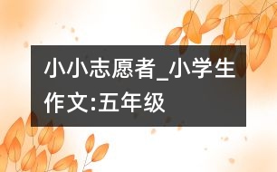 小小志愿者_小學(xué)生作文:五年級