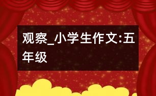 觀察_小學生作文:五年級