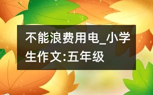 不能浪費(fèi)用電_小學(xué)生作文:五年級(jí)