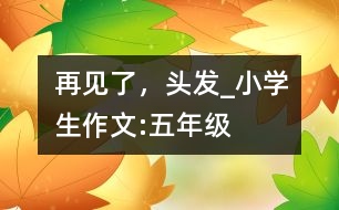 再見(jiàn)了，頭發(fā)_小學(xué)生作文:五年級(jí)
