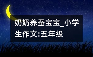 奶奶養(yǎng)蠶寶寶_小學生作文:五年級