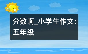 分?jǐn)?shù)啊_小學(xué)生作文:五年級(jí)