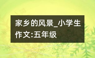 家鄉(xiāng)的風景_小學生作文:五年級