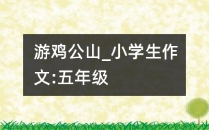 游雞公山_小學生作文:五年級