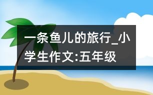 一條魚兒的旅行_小學生作文:五年級
