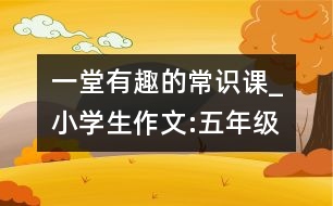 一堂有趣的常識課_小學(xué)生作文:五年級