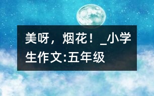 美呀，煙花！_小學(xué)生作文:五年級(jí)