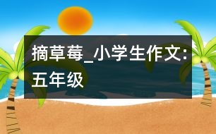 摘草莓_小學(xué)生作文:五年級(jí)