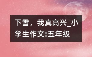 下雪，我真高興_小學生作文:五年級