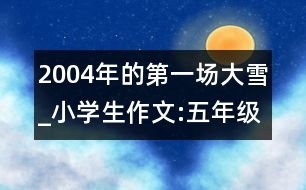 2004年的第一場大雪_小學(xué)生作文:五年級(jí)