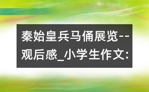 秦始皇兵馬俑展覽--觀(guān)后感_小學(xué)生作文:五年級(jí)