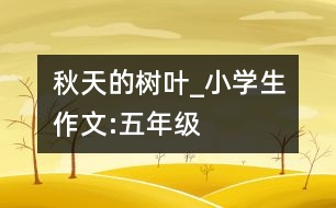 秋天的樹葉_小學(xué)生作文:五年級(jí)