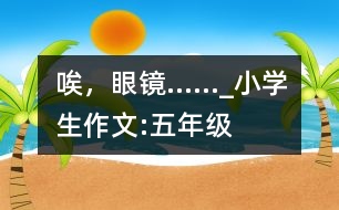 唉，眼鏡……_小學(xué)生作文:五年級