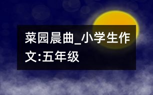 菜園晨曲_小學(xué)生作文:五年級(jí)