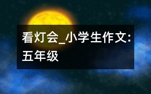 看燈會(huì)_小學(xué)生作文:五年級(jí)