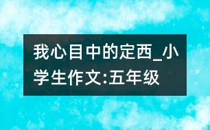 我心目中的定西_小學(xué)生作文:五年級