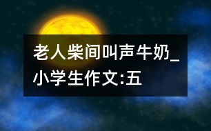老人、柴間、叫聲、牛奶_小學(xué)生作文:五年級(jí)