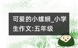 可愛的小螺螄_小學(xué)生作文:五年級(jí)