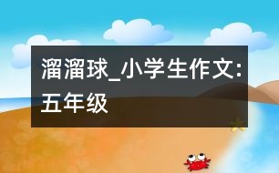 溜溜球_小學生作文:五年級