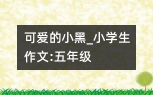 可愛的小黑_小學(xué)生作文:五年級