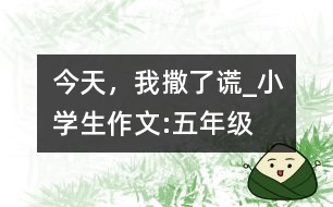 今天，我撒了謊_小學(xué)生作文:五年級